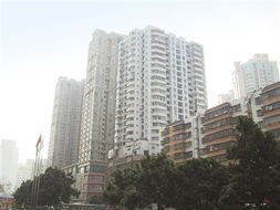 兩地車牌政策調(diào)整 珠海樓市迎短暫波動 替代政策或助力實業(yè)投資